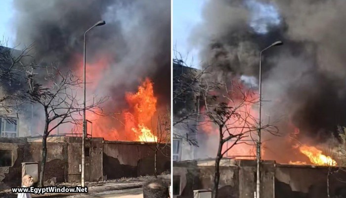 بالفيديو.. حريق هائل في مصنع بويات ببرج العرب