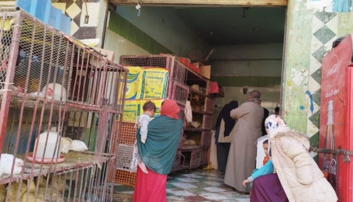 ارتفاع أسعار الدواجن قبيل رمضان.. سماسرة السوق يجنون المكاسب والمستهلكون يدفعون الثمن