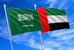 "فرانس برس": البحرين ومصر تتوسطان لإنهاء الخلاف بين السعودية والإمارات