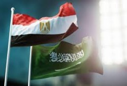 دويتشه فيله || مصر والسعودية ترسمان خطوطًا حمراء في إفريقيا