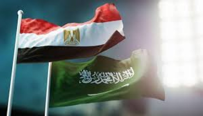 دويتشه فيله || مصر والسعودية ترسمان خطوطًا حمراء في إفريقيا