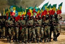 انتشار القوات الحكومية شمالاً.. NZZ || الحرب في إثيوبيا قد تصبح أشد ضراوة من حرب تيجراي الأخيرة