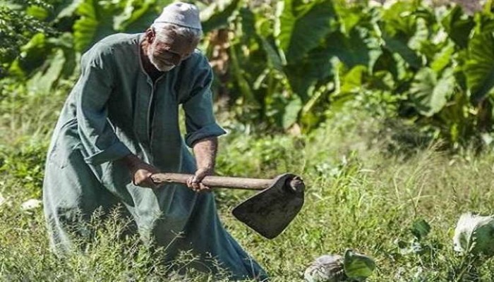 بعد زيادة 300%.. أراضي الأوقاف بين “تعظيم الريع” وطرد وسحق الفلاحين