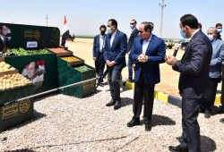 حملة إلكترونية للجان  السيسي للدفاع عن سبوبة الجيش.. كيف تحمي الدولة جهاز "مستقبل مصر" وتخدع الشارع؟