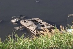 بالفيديو|| عودة ظهور تمساح ترعة الزوامل بالشرقية يثير الذعر بين الأهالي