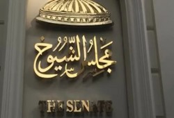 هل يحكم المصريون بدستور 2012 فعلًا؟ جدل عدلي حسين وحقيقة وثيقة 2014