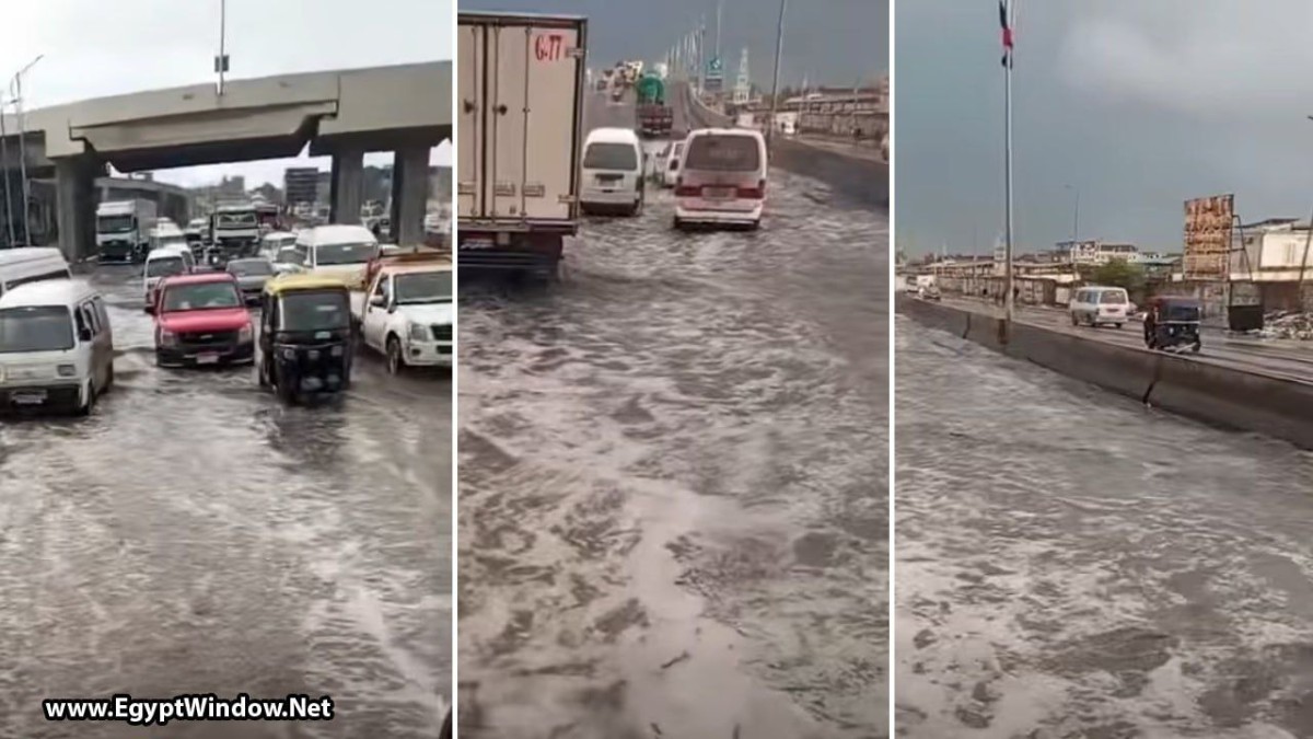 شاهد|| غرق كوبري العامرية الجديد بمياه الأمطار بعد أسابيع من افتتاحه..ماذا قال أهل الاسكندرية لكامل الوزير؟