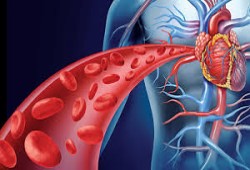 هل يعمل الصيام على تنظيف الجسم من السموم؟