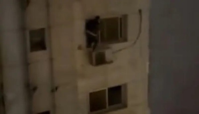 ماذا فعل الفقر والغلاء بالمصريين؟.. فيديو لص متدلٍ من شرفة يهز مواقع التواصل