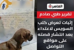 شاهد || مزاعم اغتصاب 5 شباب.. #كلب_السويس تشعل الغضب والسخرية بين المصريين