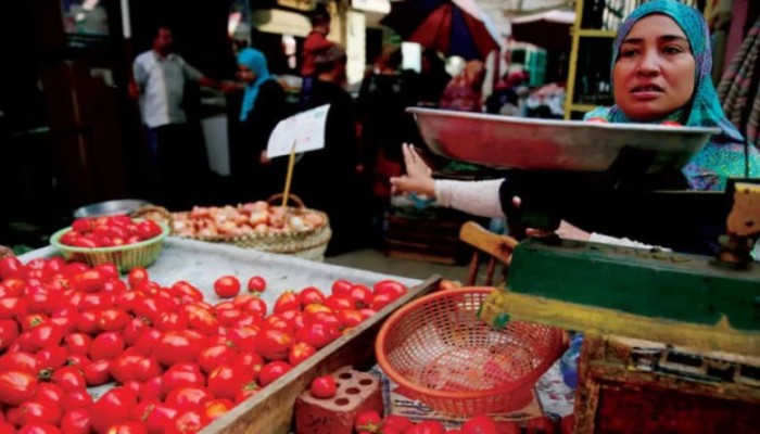 الطماطم تشتعل في رمضان.. حكومة تبرر الغلاء بالحرب وتترك المصريين تحت رحمة السوق