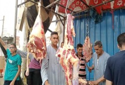 فوضى الأسعار المجنونة تضرب أكباد المصريين بالجوع في ظل غيبوبة حكومة السيسي