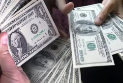 الدولار يلامس 53 جنيهًا بختام التعاملات.. الحكومة تكتفي بالمراقبة وسوق الصرف يقترب من الفوضى