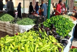 كيف تبرر الحكومة انفلات أسعار الخضراوات؟ الصقيع شماعة جاهزة وسوق بلا رقابة يضع رقاب المصريين تحت سكينة الغلاء