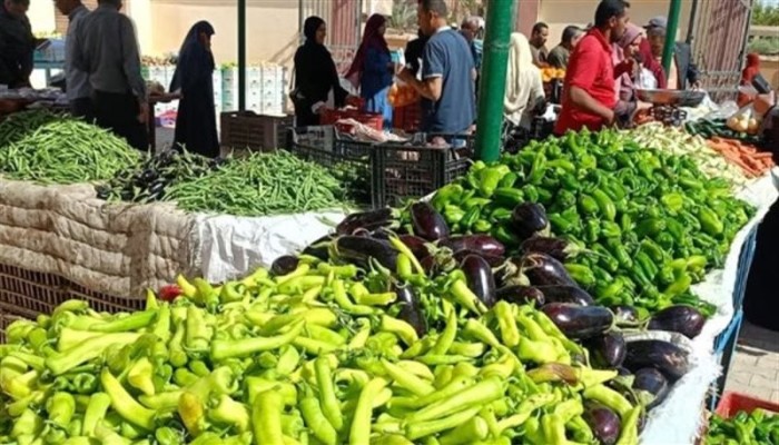 كيف تبرر الحكومة انفلات أسعار الخضراوات؟ الصقيع شماعة جاهزة وسوق بلا رقابة يضع رقاب المصريين تحت سكينة الغلاء