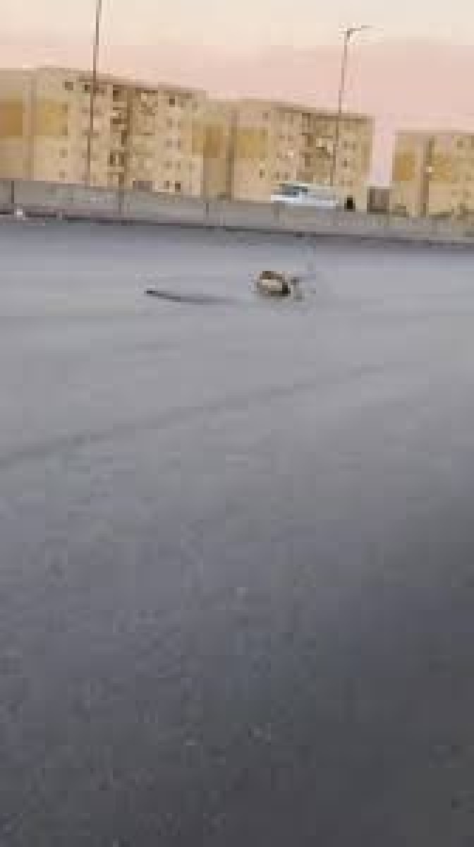 هبوط أرضي بطريق الواحات عند حدائق أكتوبر.. كوارث "الوزير" لا تنتهي!!