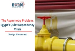 هورن ريفيو || مشكلة عدم التماثل: أزمة الاعتماد الصامتة في مصر