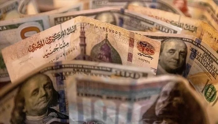 الجنيه المصري يسجل أضعف أداء بين العملات والدولار يتجاوز 52 جنيهًا