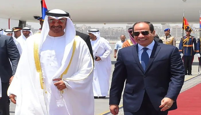 على طريقة كيد النسا: مستشار محمد بن زايد يهاجم مصر: دولة هشة لا تستطيع الدفاع عن أحد!