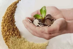 زكاة الفطر والصيام: هل يبطل التقصير في الصدقة قبول العبادة أم يبقى لكل فريضة حكمها المستقل؟