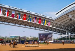 هجرة خيول قطر إلى بلجيكا... نقل 147 منها جوًا خوفا من القصف الإيراني!