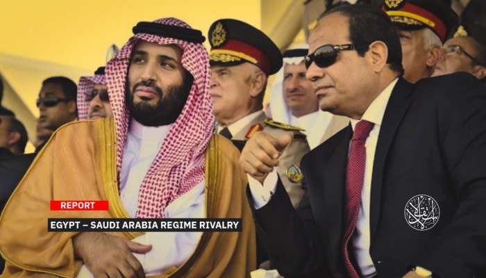 ردًا على غضب الإماراتيين والخليجيين من السيسي.. أكاديمي مصري: اشربوا ثمن دعمكم انقلاب 2013 !