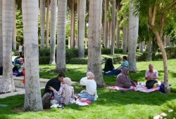 العيد في مصر.. المولات تكشف رفاه القادرين والحدائق تفضح انكسار الباقين