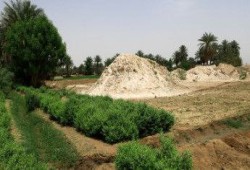 حملة مصر على منقّبي الذهب تثير مخاوف من امتداد فوضى السودان