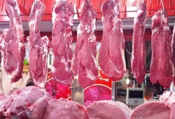 ارتفاع كبير بأسعار اللحوم بعد جنون الأعلاف