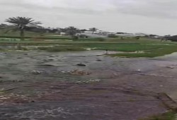 كسر في جسر ترعة يغرق مئات الأفدنة الزراعية.. المنيا تدفع ثمن الصيانة المتأخرة ورد الفعل بعد وقوع الكارثة