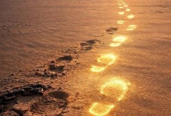 جيمس كلير || كيف تنشأ الأفكار المبتكرة؟