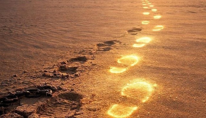 جيمس كلير || كيف تنشأ الأفكار المبتكرة؟