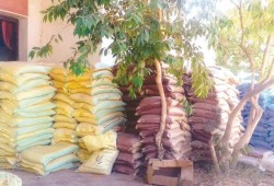 ارتفاع جديد في أسعار الأسمدة المدعمة.. وسعر الطن يقفز إلى 5800 جنيه