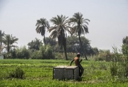 دلتا النيل تتآكل تحت الإسمنت والملوحة.. كيف خسرت مصر 400 ألف فدان من أخصب الأراضي في 9 سنوات بينما تتسع فجوة الغذاء
