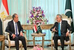 معاريف || مصر تسعى للتوسط لإنهاء الحرب وتشعر بالضغط خوفًا من الأضرار الاقتصادية