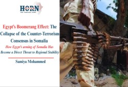 هورن ريفيو || حين يرتد السلاح: كيف تحوّلت الشراكة العسكرية مع الصومال إلى تهديد للاستقرار في مصر