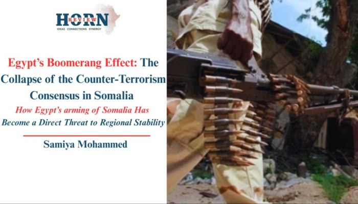 هورن ريفيو || حين يرتد السلاح: كيف تحوّلت الشراكة العسكرية مع الصومال إلى تهديد للاستقرار في مصر