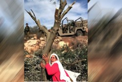 الفلسطينيون يحيون ذكرى يوم الأرض بعد 50 عامًا من الصمود والهوية