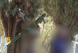 حزب الله يربك الطيران الإسرائيلي ويسقط مسيرات ويصيب مروحيات اليوم الخميس