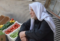 مأساة دمياط وصدمة الإسكندرية تكشفان عجز الحماية الاجتماعية في حماية المسنين أمام الغلاء والروتين