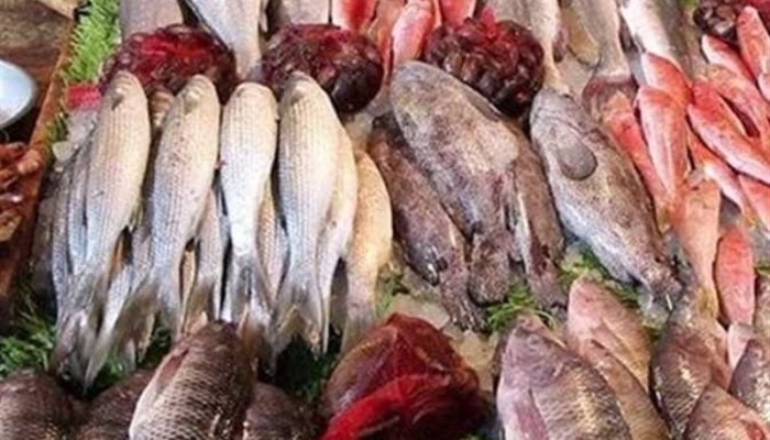 نفي رسمي لا يطفئ السوق.. لماذا لا يكفي بيان الجهاز لطمأنة المصريين بشأن أسعار الأسماك