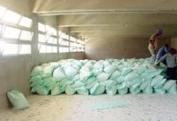 الأسمدة بعد الوقود. كيف يتحول رفع كلفة الإنتاج إلى موجة غلاء تضرب المصريين