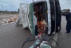 مصرع سائق وإصابة 3 في تصادم جامبو ونقل بالصحراوي السريع