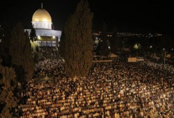 بالفيديو: عودة الصلاة في الأقصى بعد 40 يومًا من الإغلاق