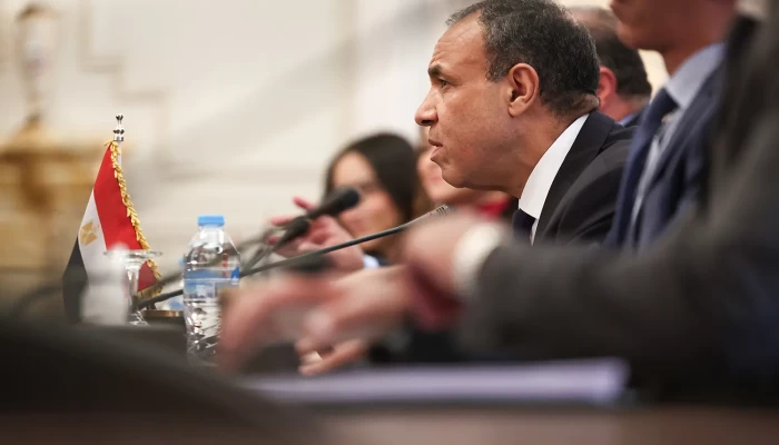 أتلانتيك كآونسل|| مصر: لا يمكن تأمين الممرات المائية دون مراعاة النظام السياسي للدول الساحلية