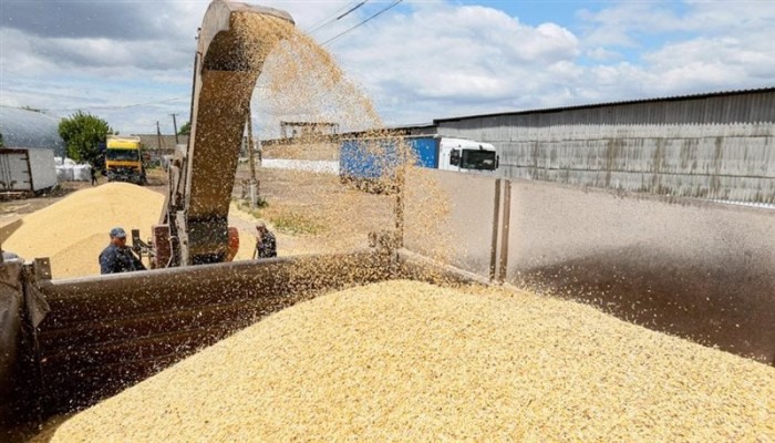 أمن الغذاء يتراجع تحت حكم السيسي بين فاتورة باستيراد 10 ملايين طن قمح وعجز الإدارة وانكشاف السوق المصرية