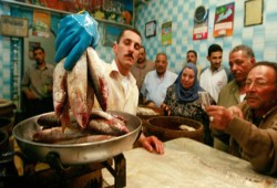 غلاء الفسيخ والرنجة يحرم ملايين المصريين من عاداتهم المفضلة في شم النسيم