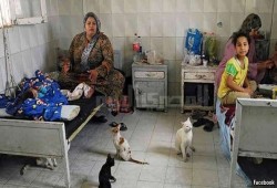 القطاع الصحي تحت ضغط الأرقام والشكاوى.. حكومة تضلل الرأي العام بأرقام التحسن والمواطن يعاني واقعًا مرضيًا مزريًا