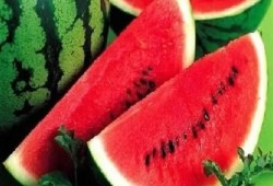 البطيخ يفضح فشل السوق الزراعي في مصر ويحوّل فاكهة الصيف إلى عبء على الأسر