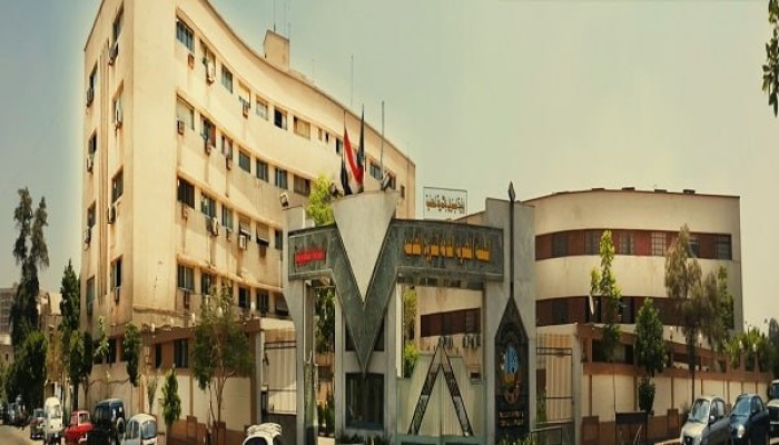 تحت مسمى بيع الخردة.. تجاوزات مالية جسيمة تضرب الهيئة المصرية العامة للثروة المعدنية وتبدد ممتلكات الشعب